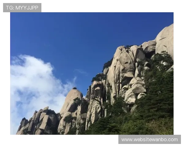 manbetx万博亚洲用户评价与口碑分析真实玩家体验助你理性选择平台