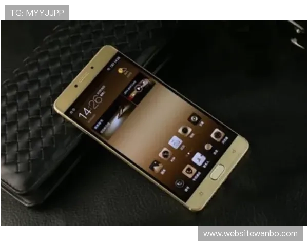 万博mantetx手机官网安全保障措施与隐私保护政策